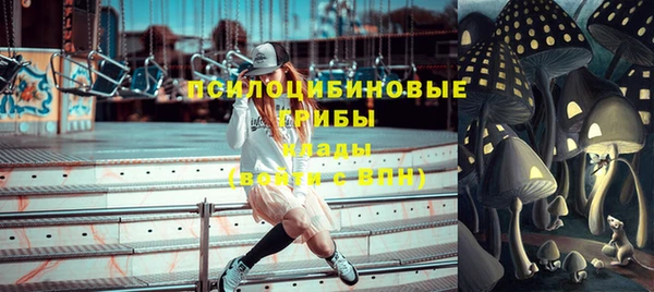 МДПВ Алексеевка